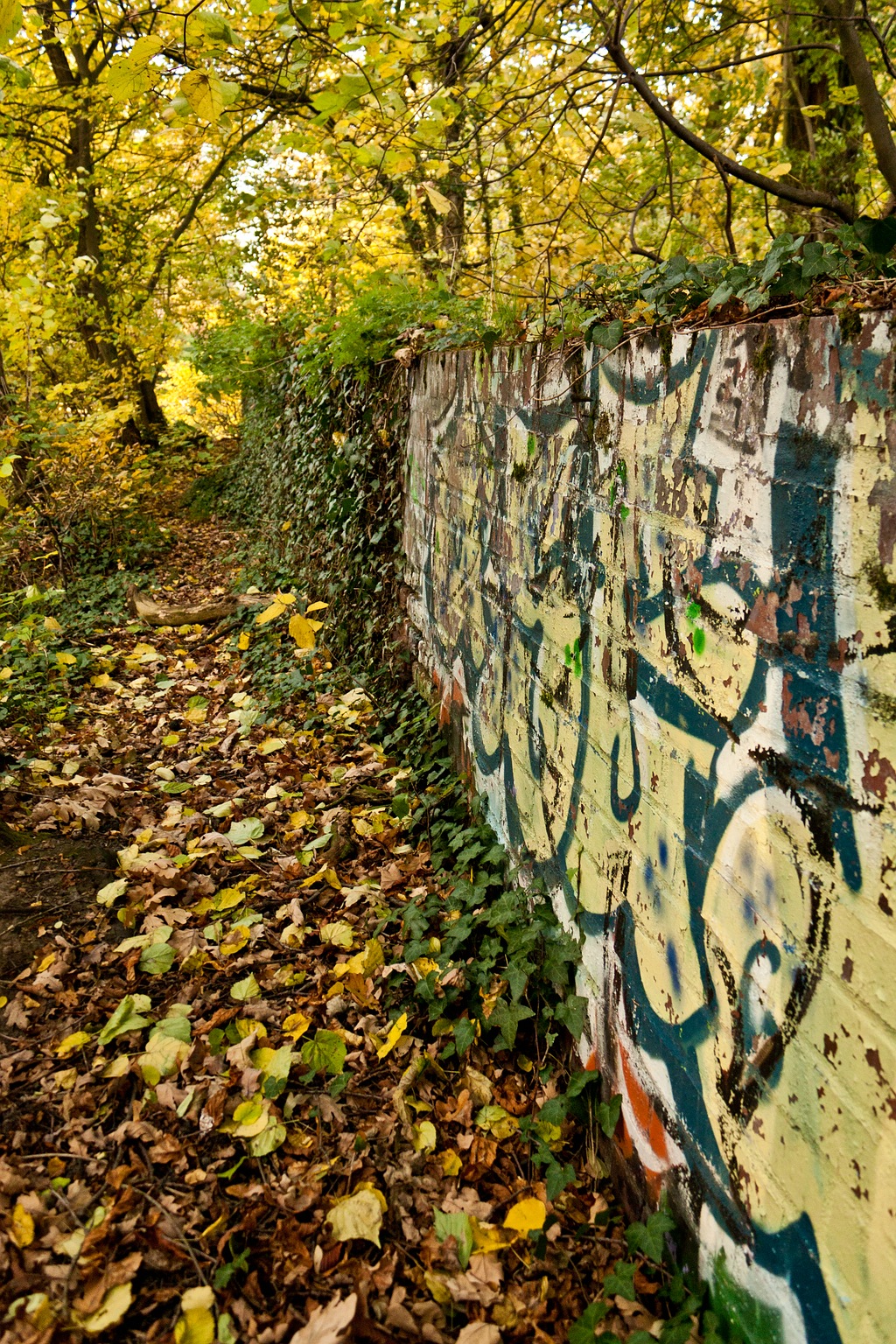 WEB IMG 5461