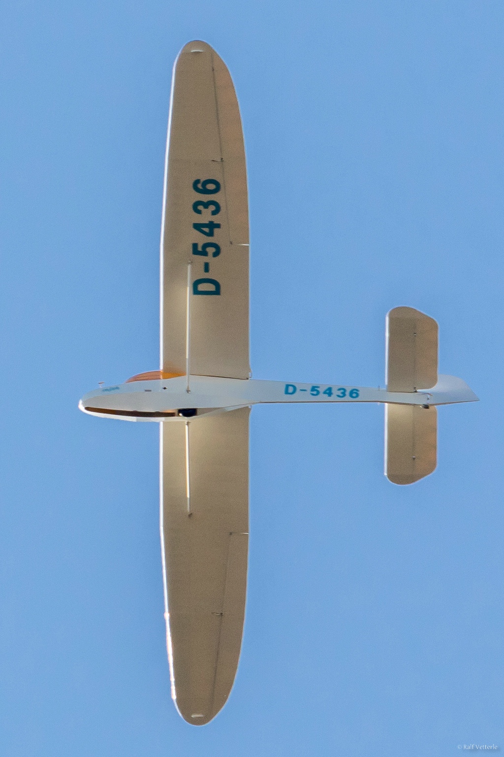 WEB  DP 8817