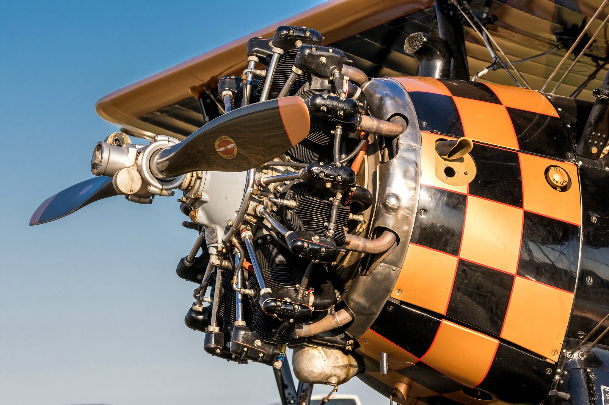 WEB  DP 8891