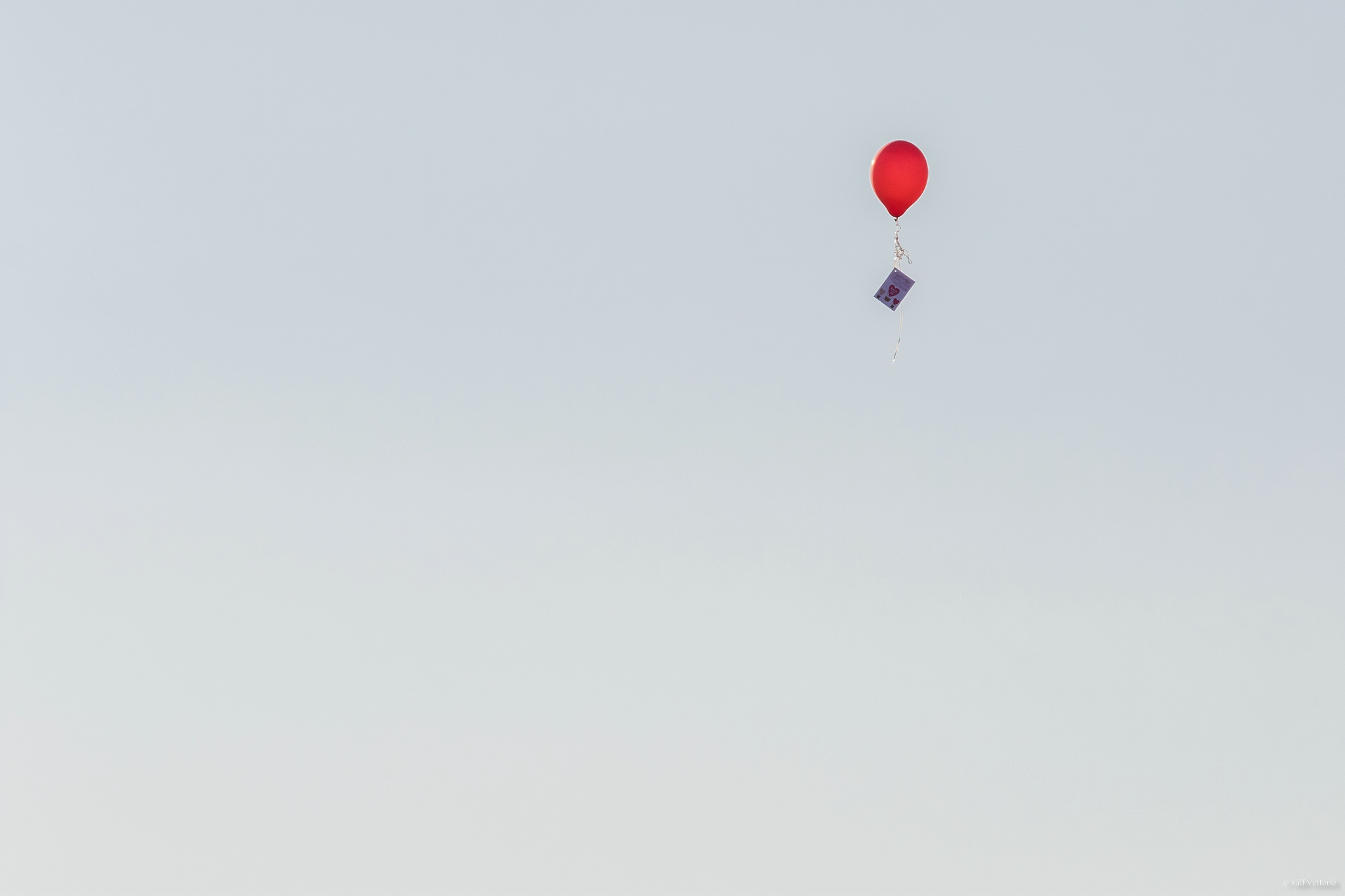 WEB  DP 8925
