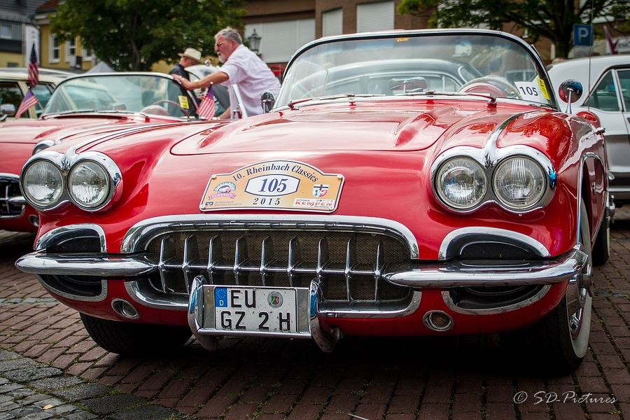 WEB SDP 8161