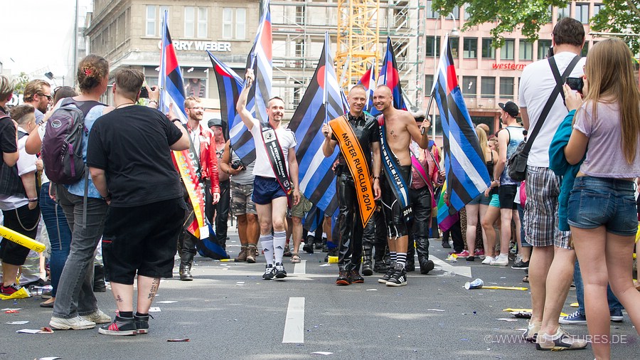 WEB SDP 1924