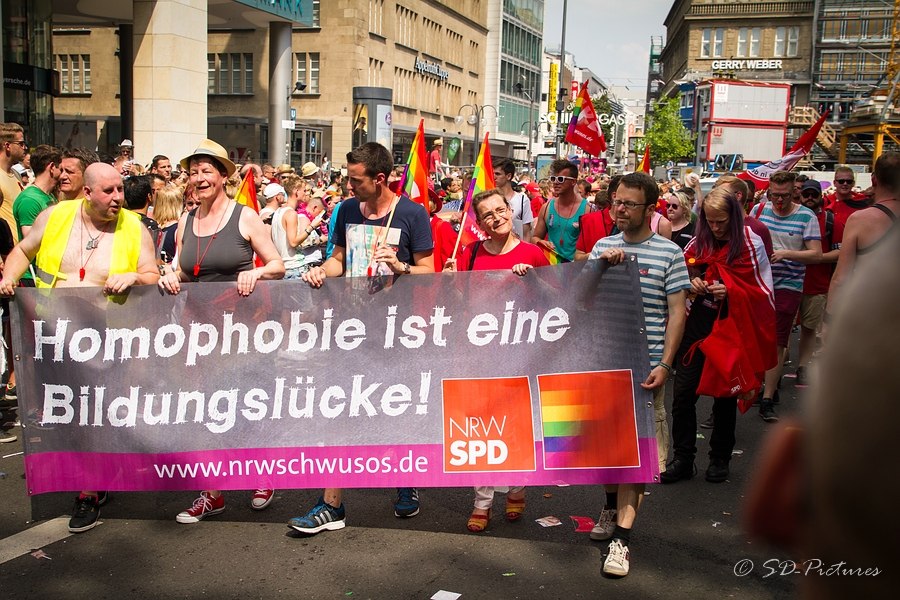 WEB SDP 6953