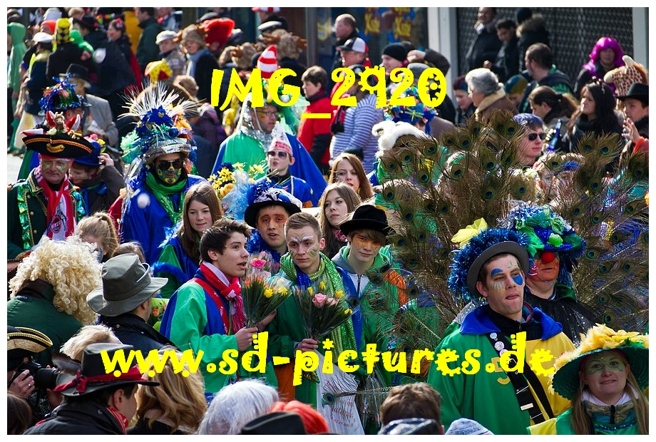 IMG 2920