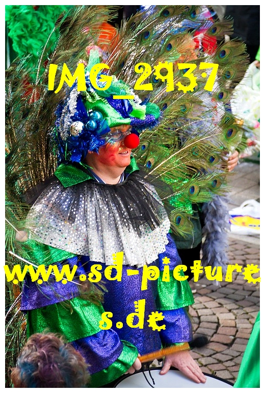 IMG 2937