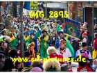 Tn IMG 2895