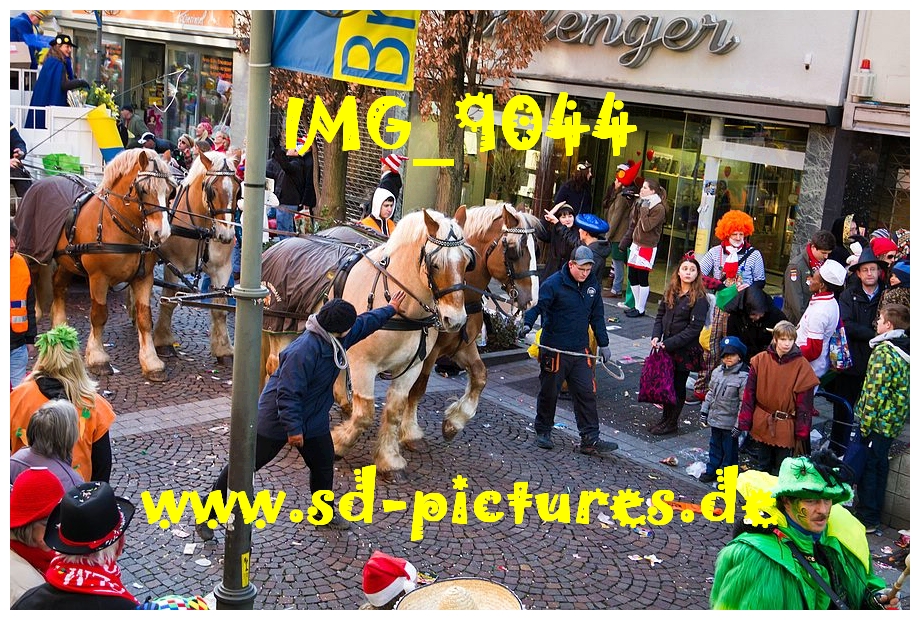 IMG 9044
