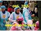 Tn IMG 3155
