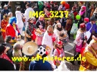 Tn IMG 3237