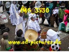 Tn IMG 3530