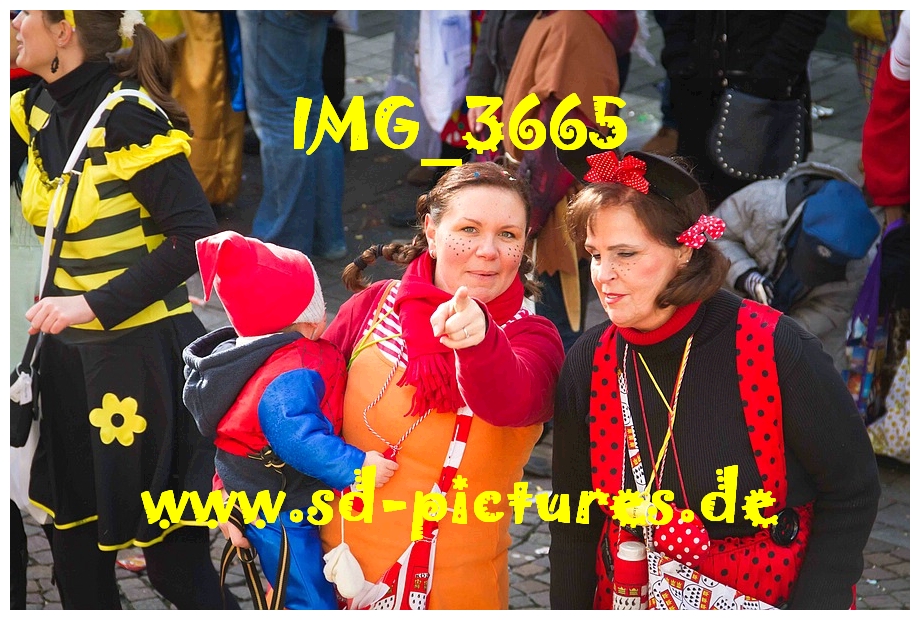 IMG 3665