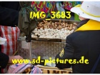 Tn IMG 3683