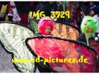 Tn IMG 3729