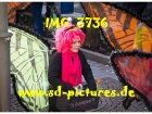 Tn IMG 3736