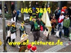 Tn IMG 3859