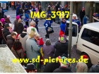 Tn IMG 3917
