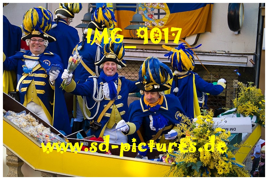IMG 9017