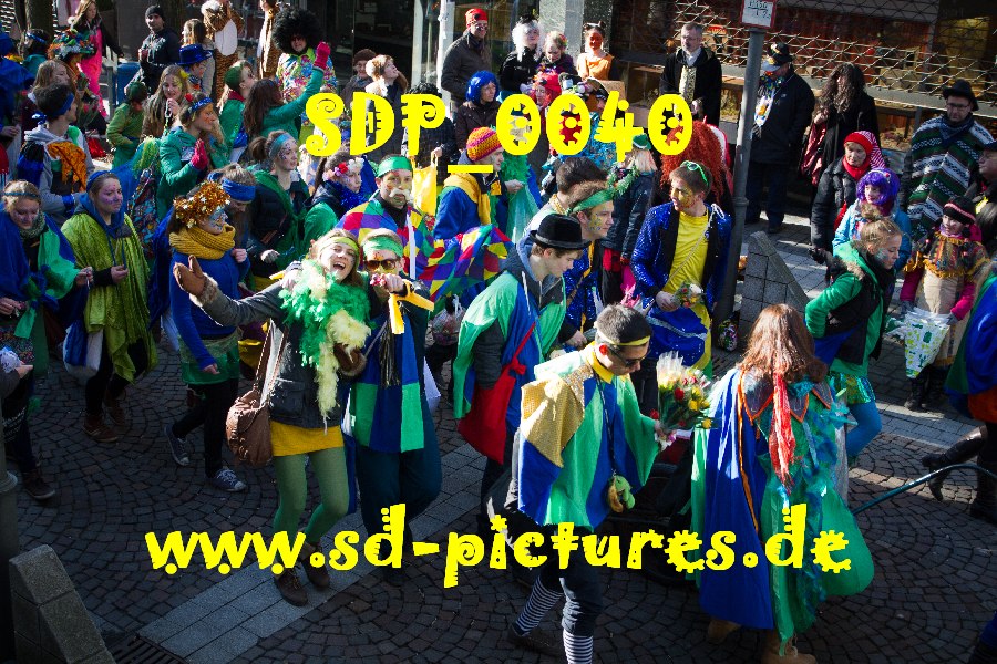 SDP 0040
