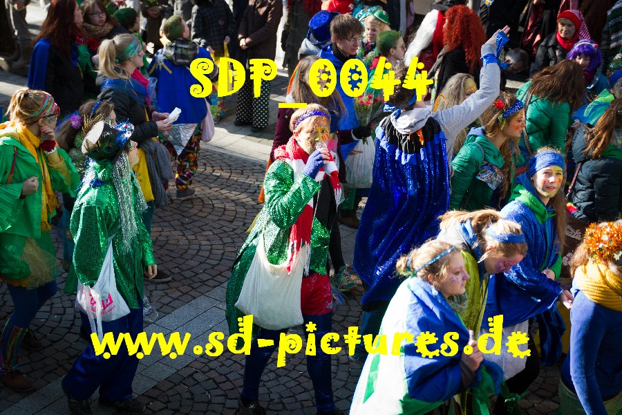 SDP 0044