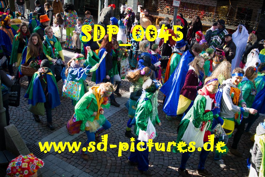 SDP 0045