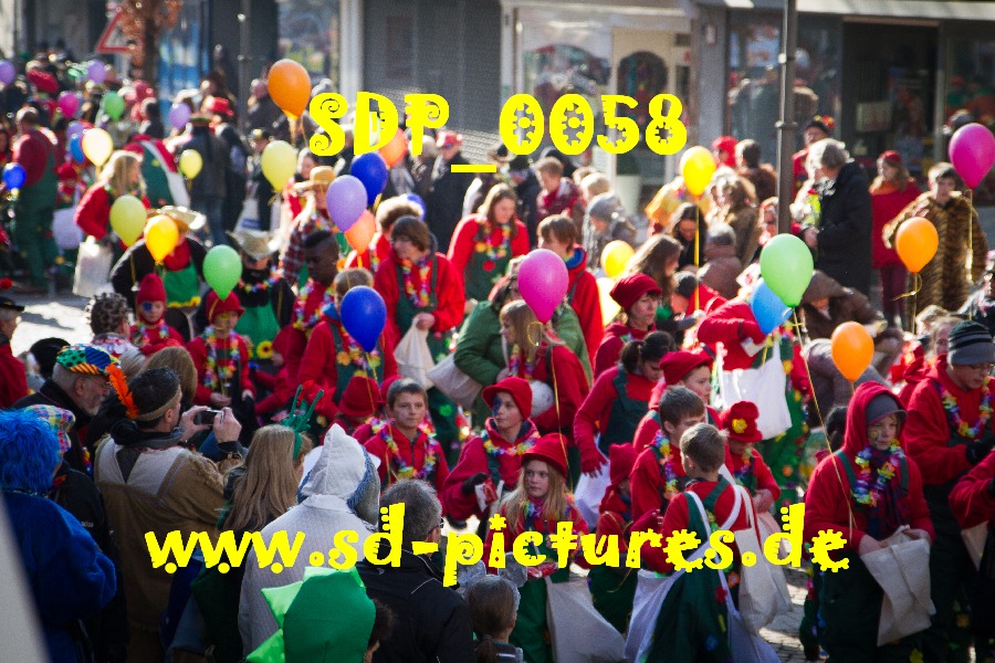 SDP 0058