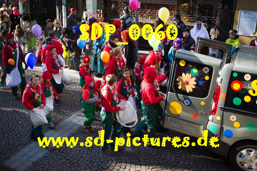 SDP 0060