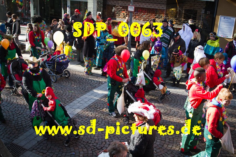 SDP 0063