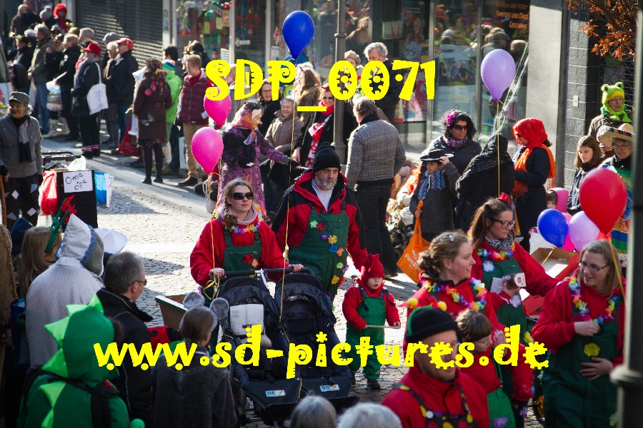 SDP 0071