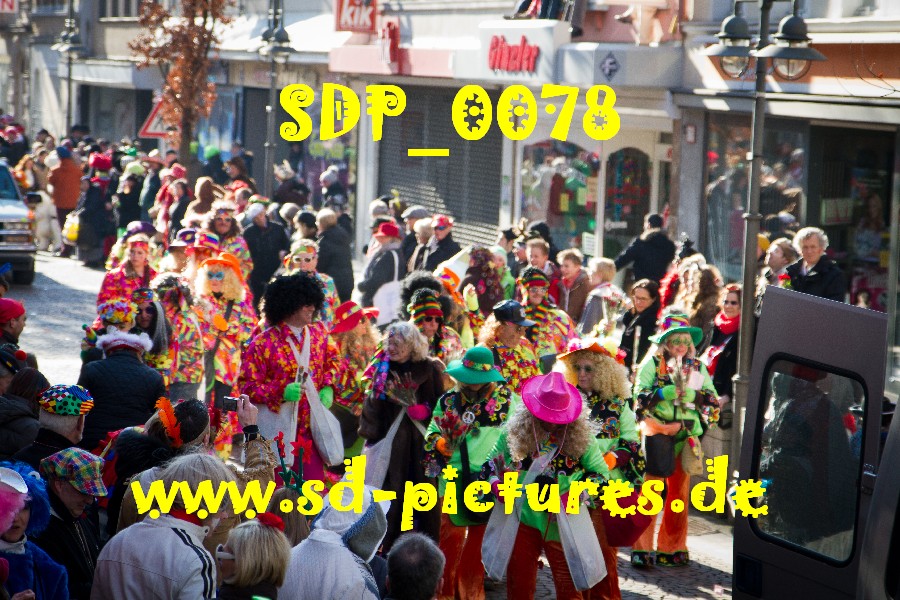 SDP 0078