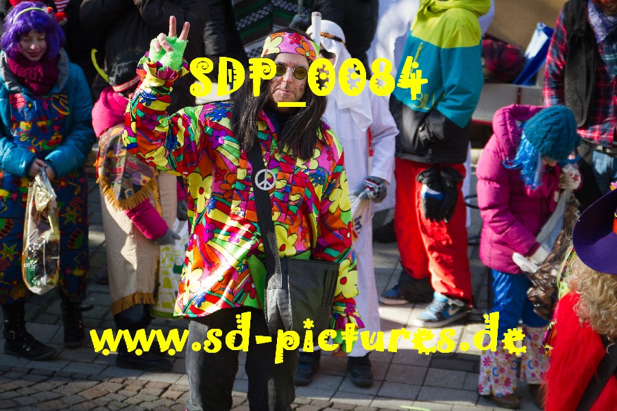 SDP 0084