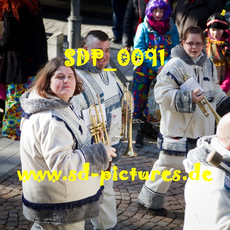 SDP 0091