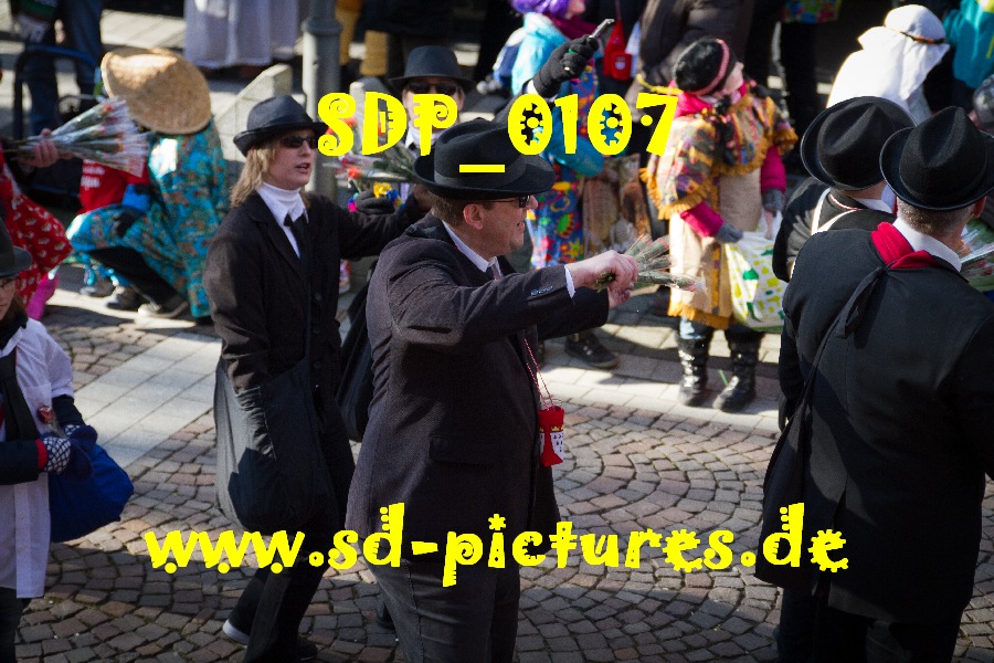 SDP 0107