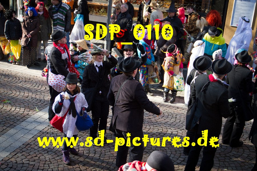 SDP 0110