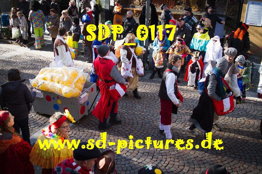 SDP 0117