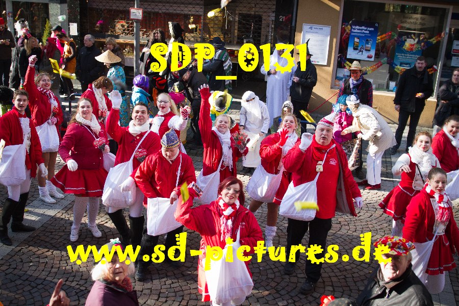 SDP 0131