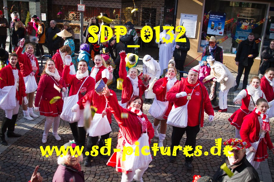SDP 0132