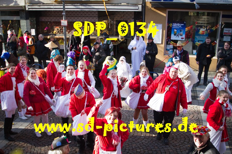 SDP 0134