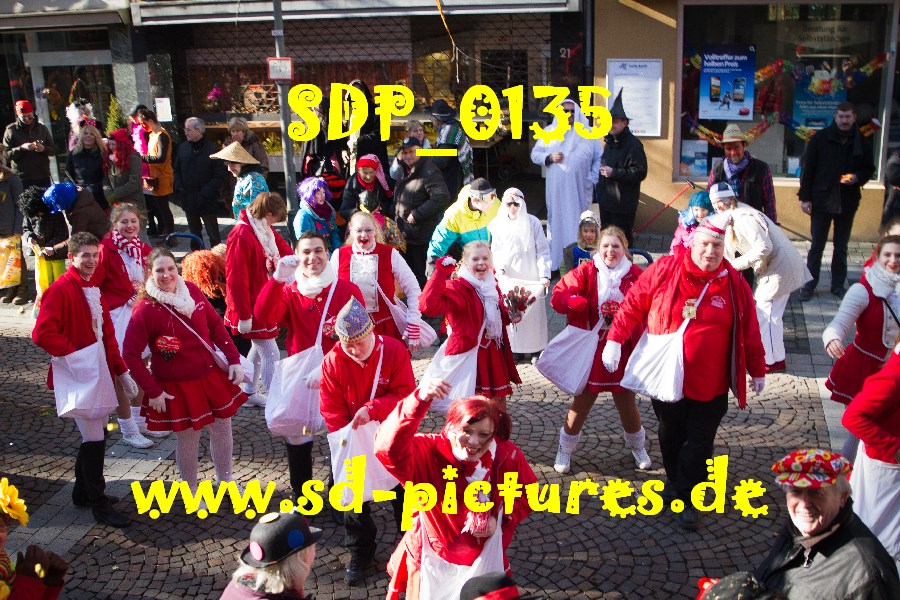SDP 0135