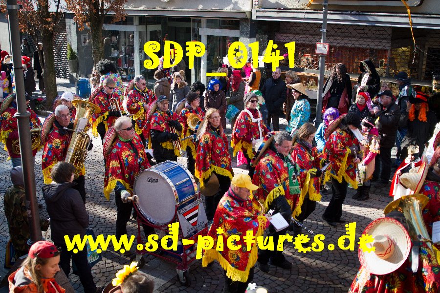 SDP 0141