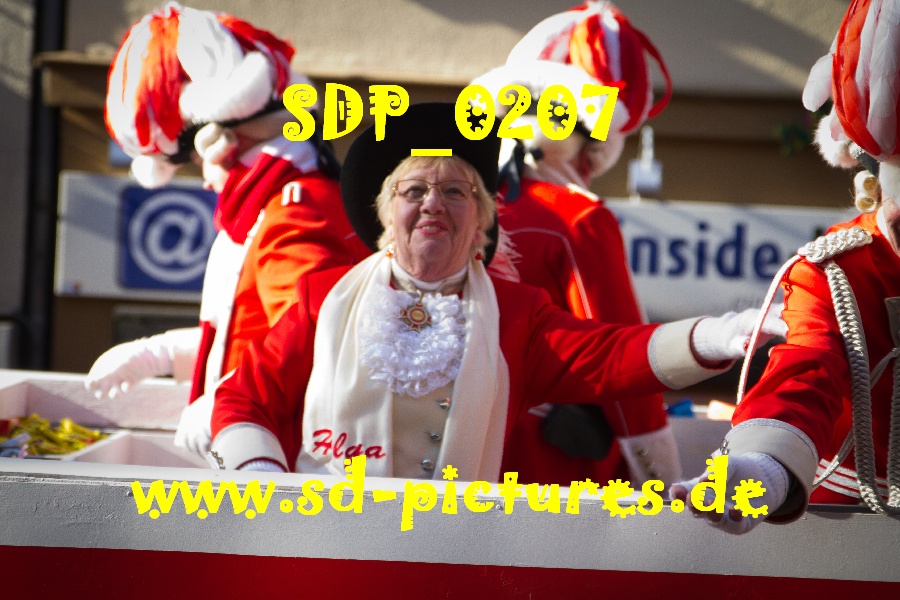 SDP 0207