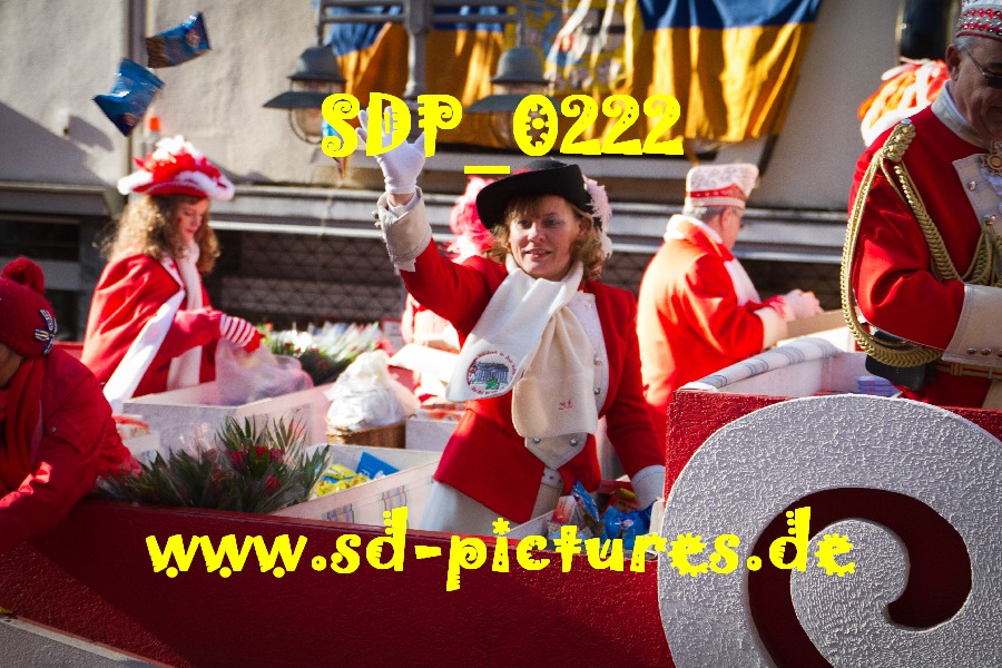 SDP 0222
