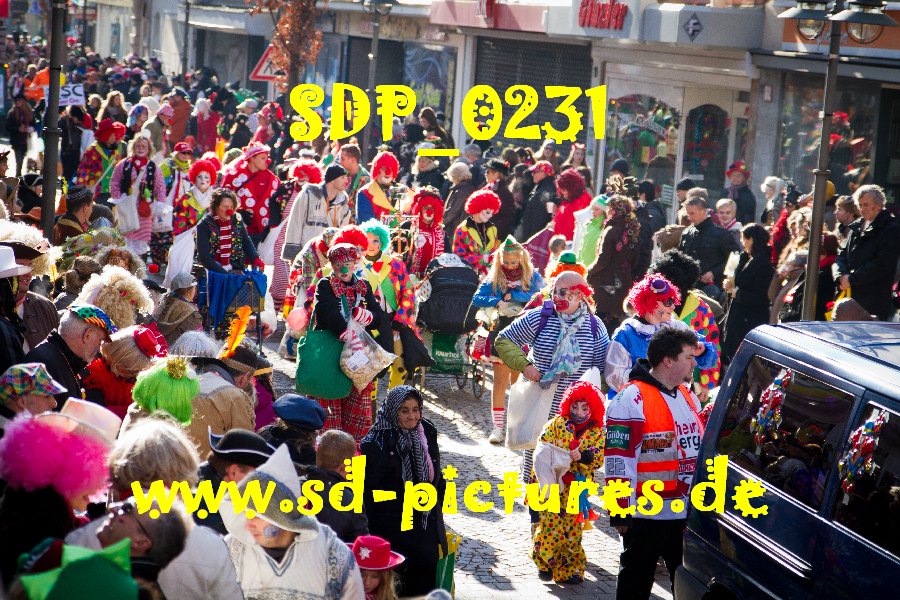 SDP 0231