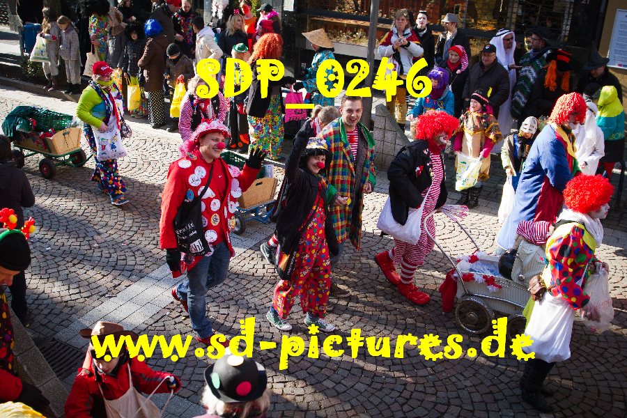 SDP 0246