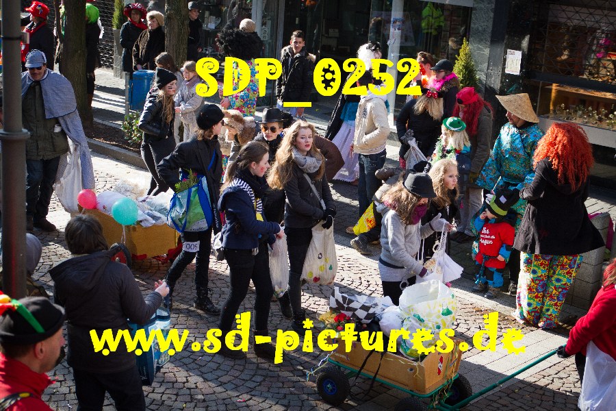 SDP 0252