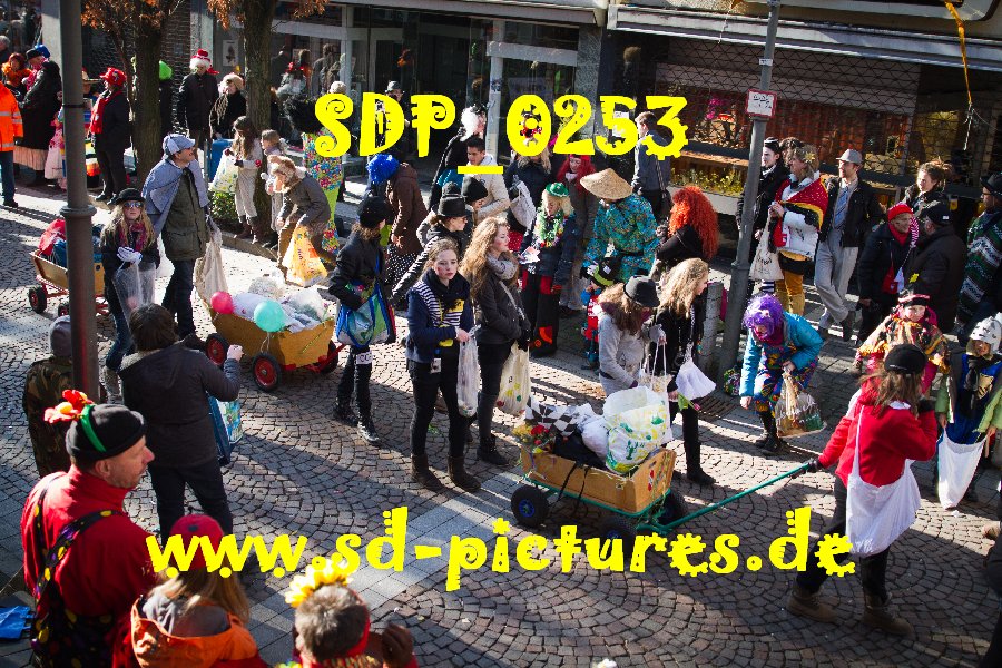 SDP 0253