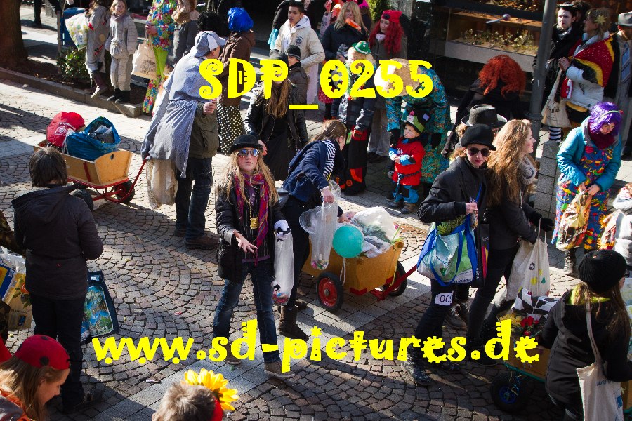 SDP 0255