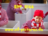 Tn SDP 0164