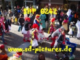 Tn SDP 0242