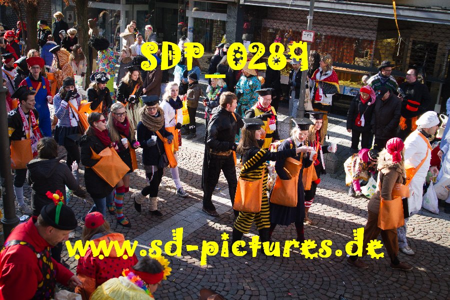 SDP 0289