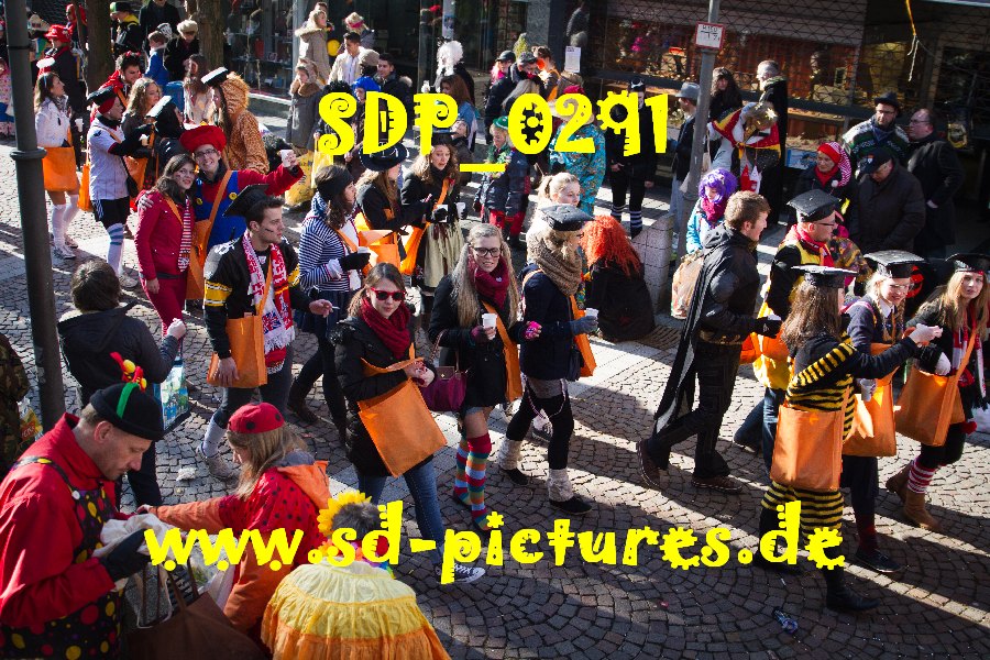 SDP 0291